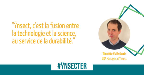 ynsecter18 ynsecter18