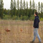 Ynsect opens first mealworm farm in the US and enters local premium chicken feed market after Jord joins its production platform