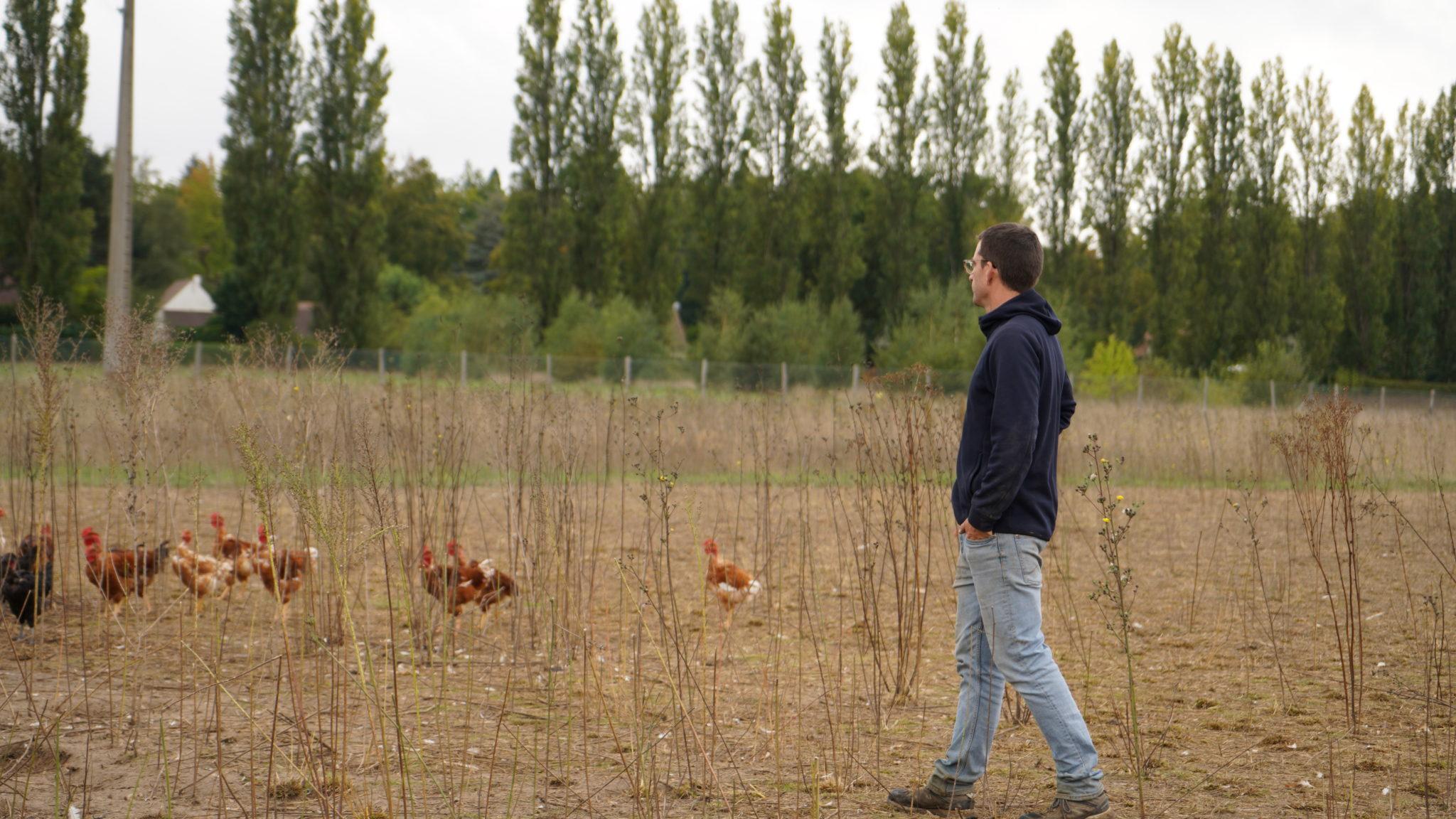 Read more about the article Ynsect opens first mealworm farm in the US and enters local premium chicken feed market after Jord joins its production platform