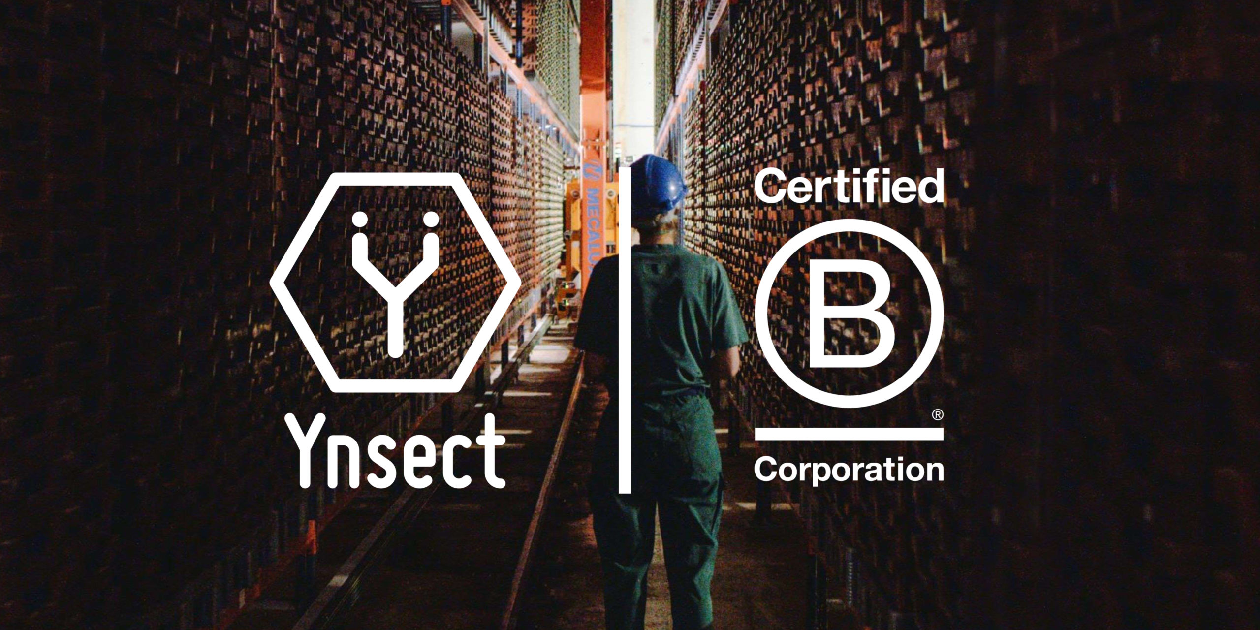 Read more about the article Ÿnsect Achieves B Corp Certification and Announces New Commitments for Environmental and Social Sustainability