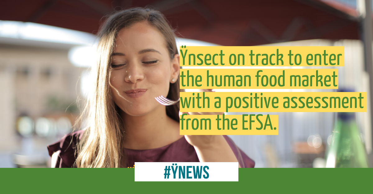 Read more about the article Ÿnsect on track to enter the human food market with a positive assessment from the EFSA.