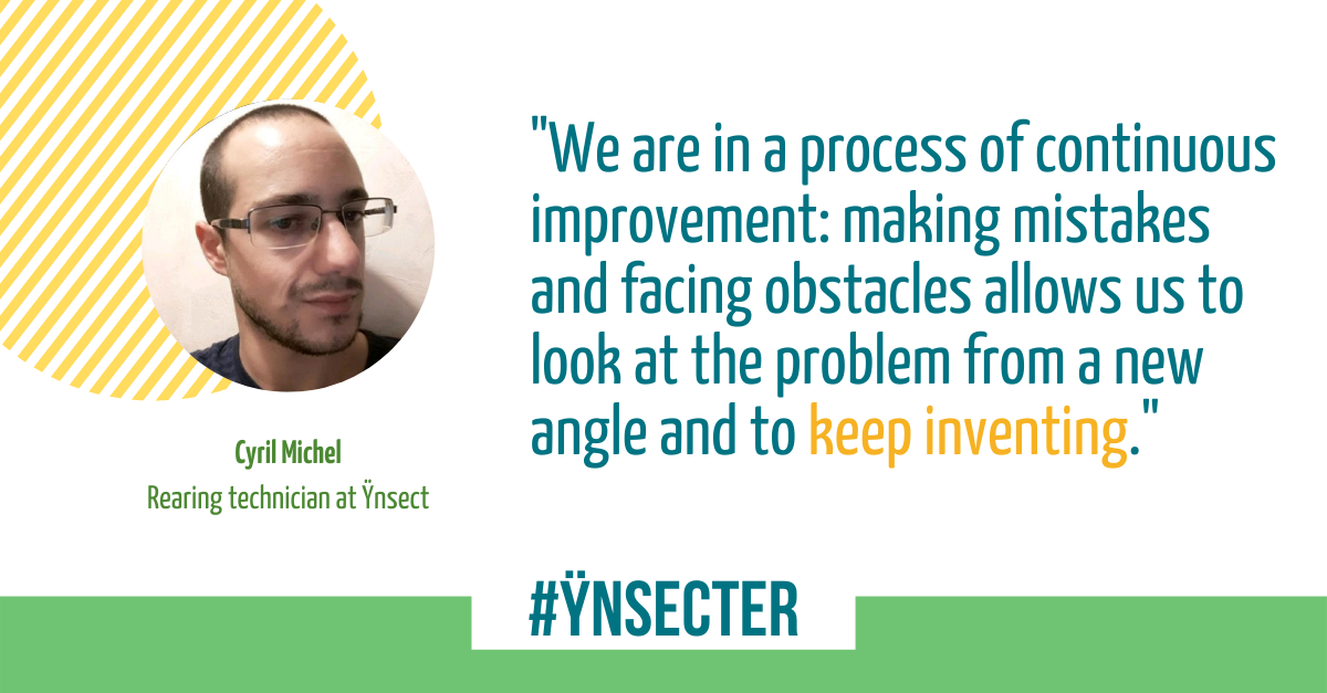 Read more about the article #Ÿnsecter – Cyril Michel, Rearing Technician at Ÿnsect