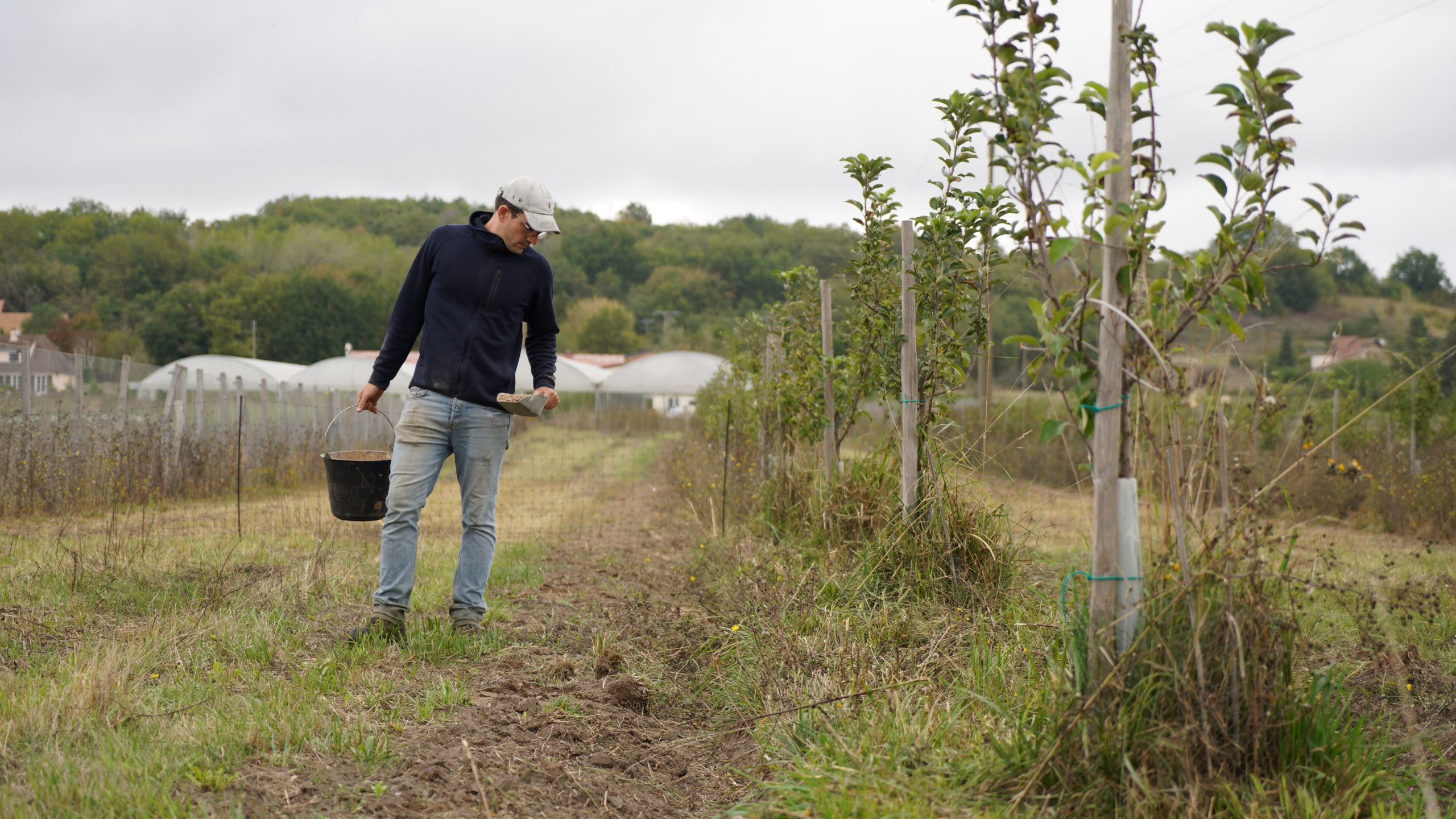 Read more about the article “Insect manure”: could frass be the organic fertiliser of the future?