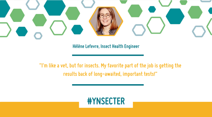 Read more about the article #Ynsecter – Get to know Hélène Lefèvre, Insect Health Engineer