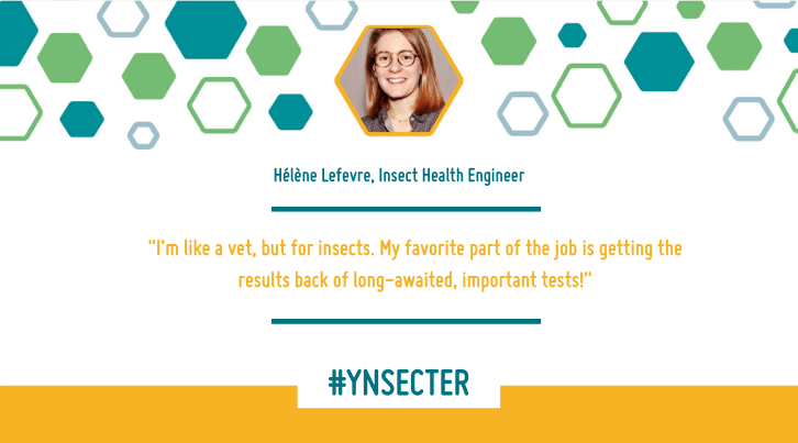 #Ynsecter – Get to know Hélène Lefèvre, Insect Health Engineer